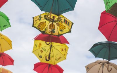 Zaključak o korištenju javnih površina za izlagače sudionike ...