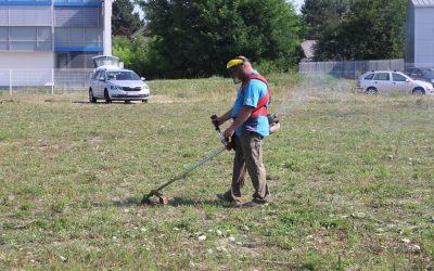 I ove godine braniteljske udruge uništavale korov ambrozije