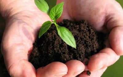 JAVNI POZIV za dodjelu potpore male vrijednosti u poljoprivredi ...