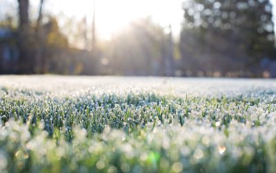 Poziv poljoprivrednicima s područja Grada Čakovca na prijavu ...