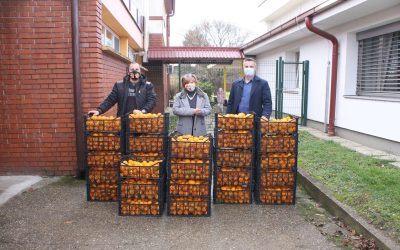 Donacija mandarina čakovečkim vrtićima povodom Nikolinja
