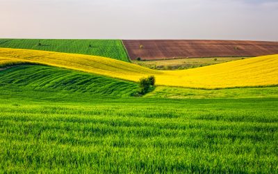 Javni poziv za nositelje stvarnih prava naselja Novo Selo Rok i ...