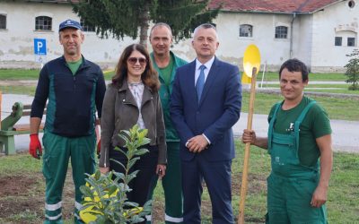 Grad Čakovec donirao sadnice Međimurskom veleučilištu, posadili ...