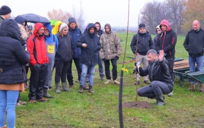 U Čakovcu zasađena Šuma hrane – ekosustav koji oponaša ...