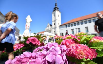 Subotnje čakovečko prijepodne u znaku cvijeća, jagoda, ...