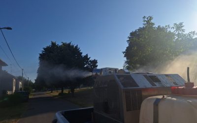 Grad Čakovec krenuo s dezinsekcijom komaraca na svom području
