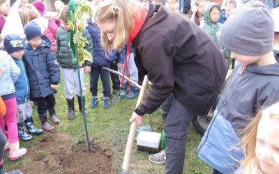 Mališani u „Cvrčku“ uzgojili i posadili mladice hrasta