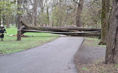 Olujni vjetar srušio stablo u Perivoju Zrinskih